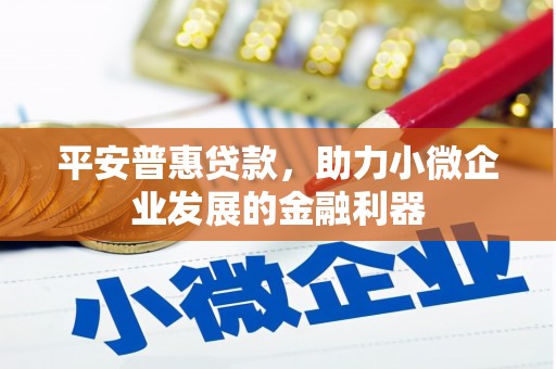 康保平安普惠贷款，助力小微企业发展的金融利器
