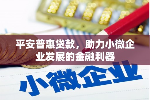 康保平安普惠贷款，助力小微企业发展的金融利器
