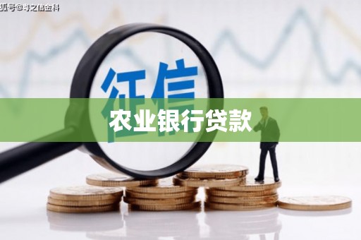康保农业银行贷款