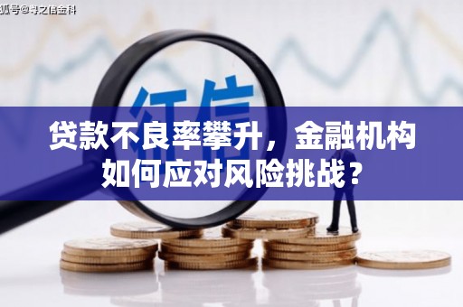 康保贷款不良率攀升，金融机构如何应对风险挑战？