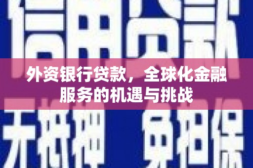 康保外资银行贷款，全球化金融服务的机遇与挑战