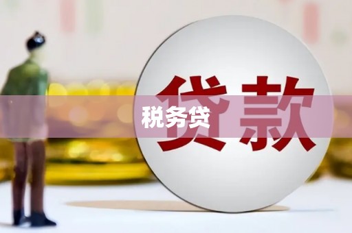 康保税务贷