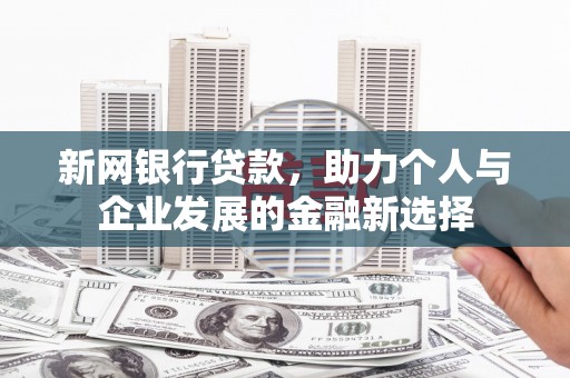 康保新网银行贷款，助力个人与企业发展的金融新选择