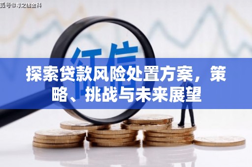 康保探索贷款风险处置方案，策略、挑战与未来展望