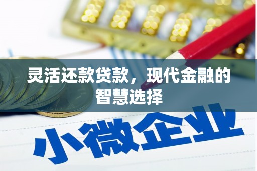 康保灵活还款贷款，现代金融的智慧选择