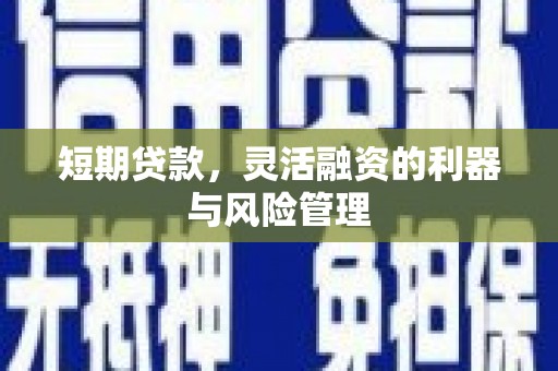 康保短期贷款，灵活融资的利器与风险管理
