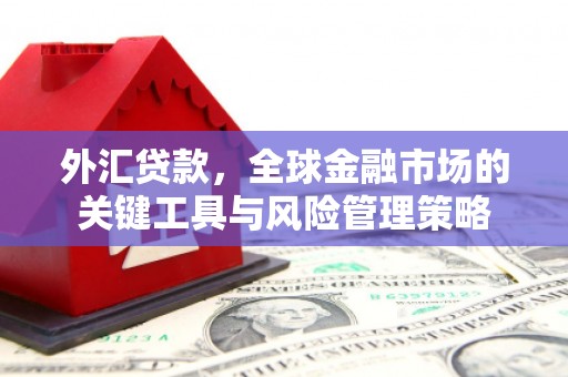 康保外汇贷款，全球金融市场的关键工具与风险管理策略