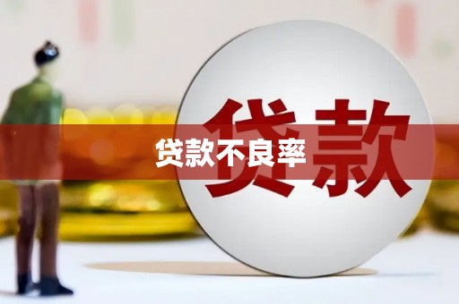 康保贷款不良率