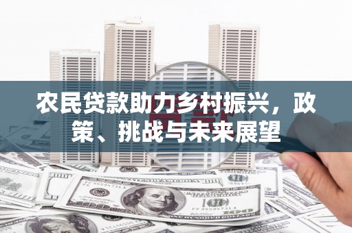 康保农民贷款助力乡村振兴，政策、挑战与未来展望