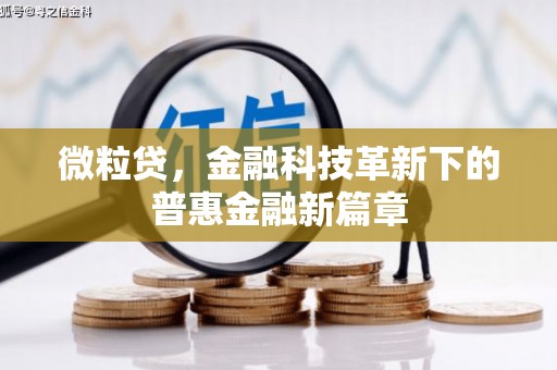 康保微粒贷，金融科技革新下的普惠金融新篇章