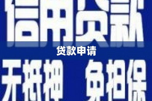 康保贷款申请