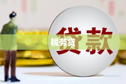 康保税务贷