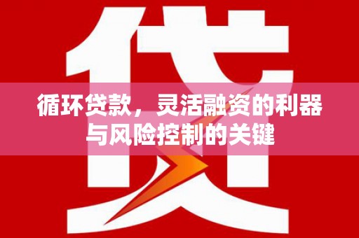 康保循环贷款，灵活融资的利器与风险控制的关键