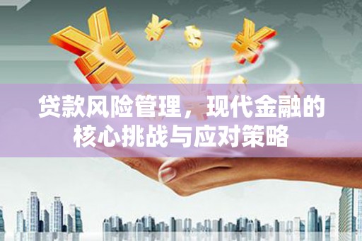 康保贷款风险管理，现代金融的核心挑战与应对策略