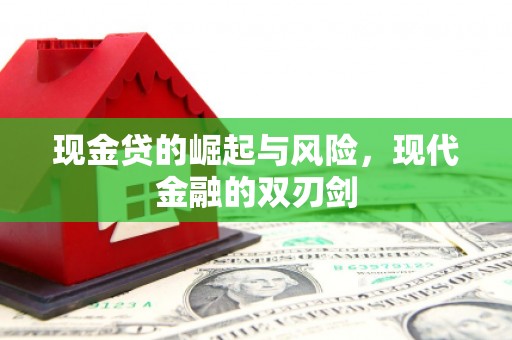康保现金贷的崛起与风险，现代金融的双刃剑