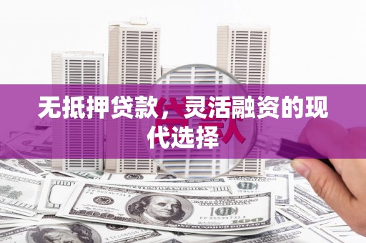 康保无抵押贷款，灵活融资的现代选择