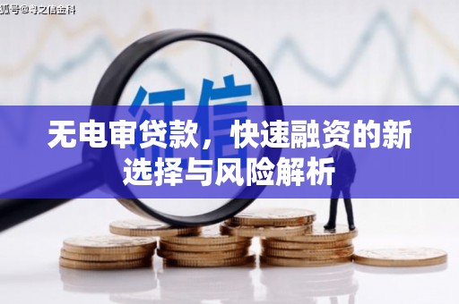 康保无电审贷款，快速融资的新选择与风险解析