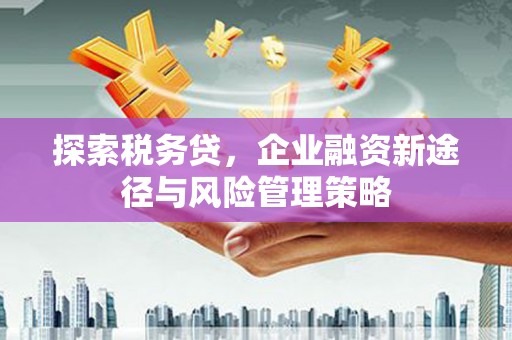 康保探索税务贷，企业融资新途径与风险管理策略