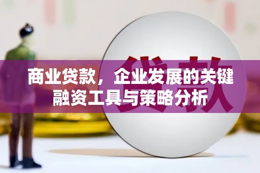 康保商业贷款，企业发展的关键融资工具与策略分析