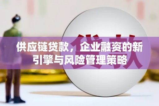 康保供应链贷款，企业融资的新引擎与风险管理策略