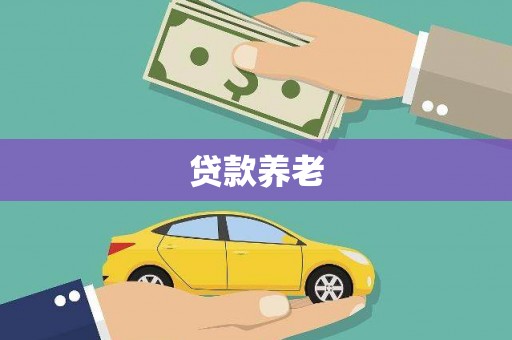康保贷款养老