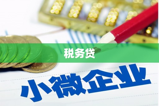 康保税务贷