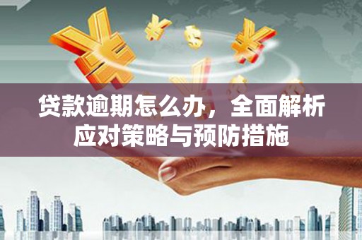 康保贷款逾期怎么办，全面解析应对策略与预防措施