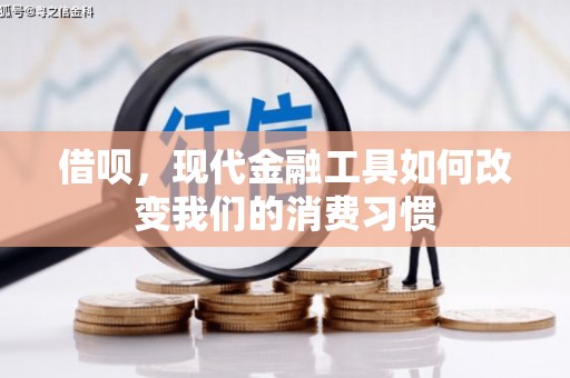康保借呗，现代金融工具如何改变我们的消费习惯