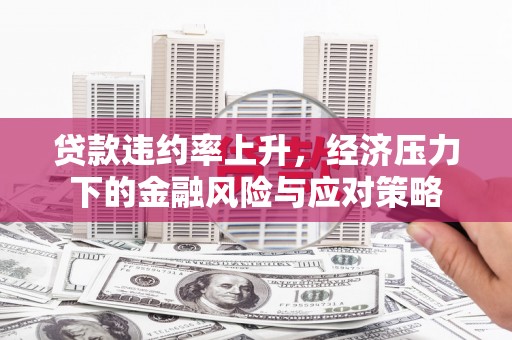 康保贷款违约率上升，经济压力下的金融风险与应对策略