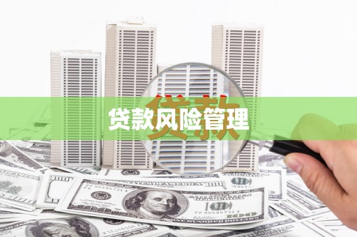 康保贷款风险管理