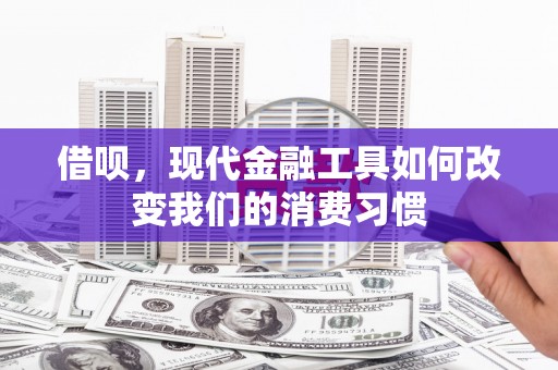 康保借呗，现代金融工具如何改变我们的消费习惯