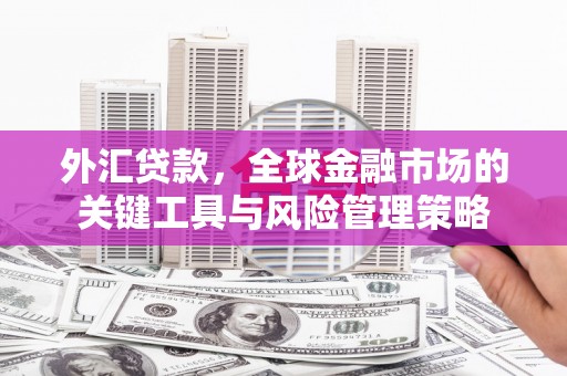 康保外汇贷款，全球金融市场的关键工具与风险管理策略