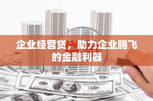康保企业经营贷，助力企业腾飞的金融利器