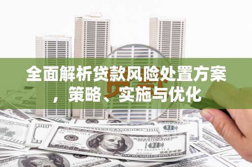 康保全面解析贷款风险处置方案，策略、实施与优化