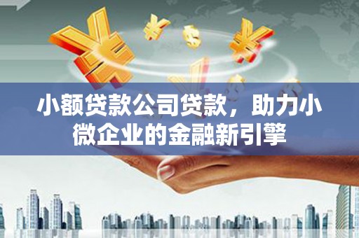 康保小额贷款公司贷款，助力小微企业的金融新引擎