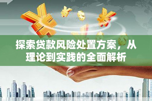 康保探索贷款风险处置方案，从理论到实践的全面解析
