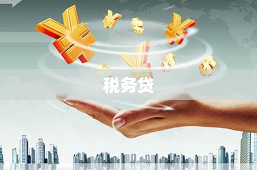 康保税务贷