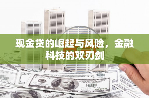 康保现金贷的崛起与风险，金融科技的双刃剑