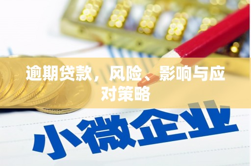 康保逾期贷款，风险、影响与应对策略