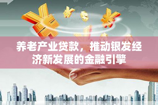 康保养老产业贷款，推动银发经济新发展的金融引擎