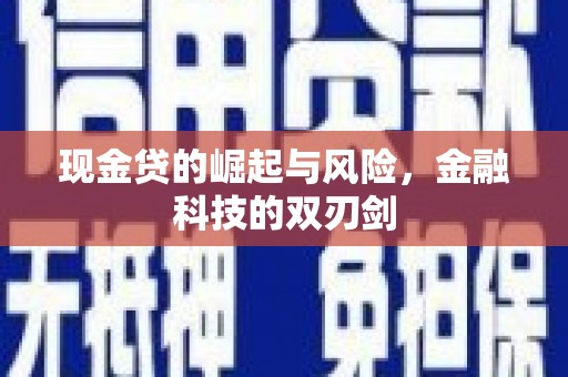 康保现金贷的崛起与风险，金融科技的双刃剑