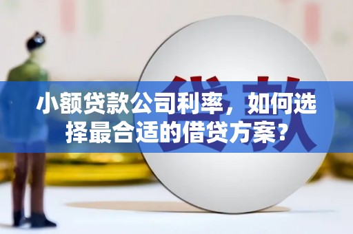 康保小额贷款公司利率，如何选择最合适的借贷方案？