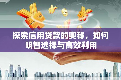 康保探索信用贷款的奥秘，如何明智选择与高效利用