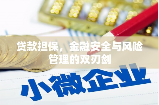 康保贷款担保，金融安全与风险管理的双刃剑