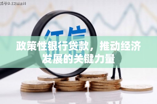 康保政策性银行贷款，推动经济发展的关键力量
