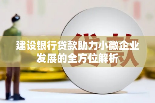 康保建设银行贷款助力小微企业发展的全方位解析
