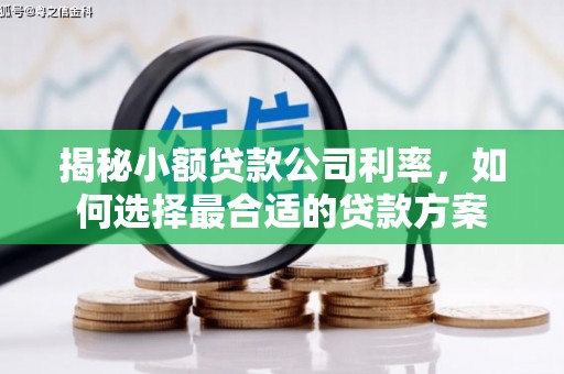 康保揭秘小额贷款公司利率，如何选择最合适的贷款方案