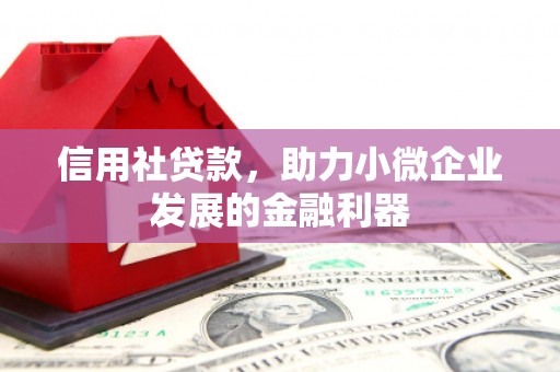 康保信用社贷款，助力小微企业发展的金融利器
