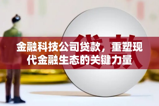 康保金融科技公司贷款，重塑现代金融生态的关键力量