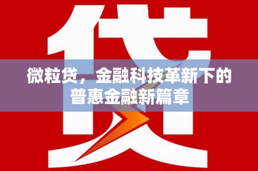 康保微粒贷，金融科技革新下的普惠金融新篇章